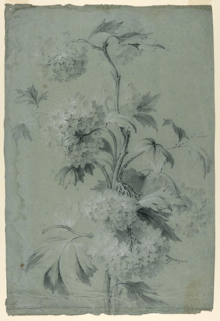 Floral Design (Drawing)